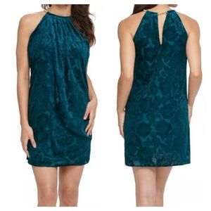 ❤️‍🔥 NWT Velvet Halter Burnout Floral Cocktail Dress